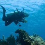 Puerto Vallarta: Scuba Dive at Los Arcos - Why This Tour Offers Great Value