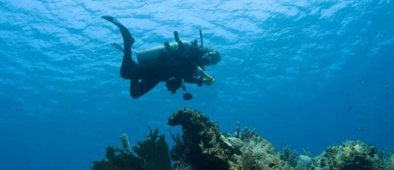 Puerto Vallarta: Scuba Dive at Los Arcos - Why This Tour Offers Great Value