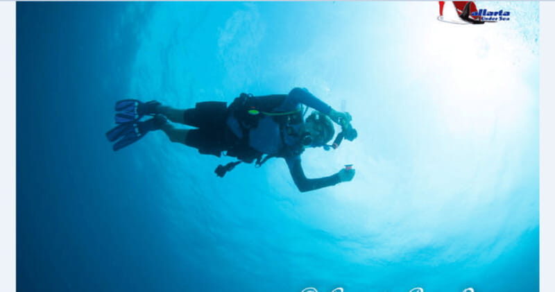 Puerto Vallarta: Scuba Diving en el Morro - Who Should Consider This Tour?