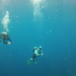 Puerto Vallarta: Scuba Diving Expedition at El Malinal - Why Choose This Tour?