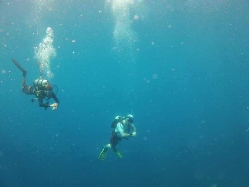 Puerto Vallarta: Scuba Diving Expedition at El Malinal - Why Choose This Tour?
