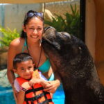 Puerto Vallarta: Sea Lion Discovery - Why It Works