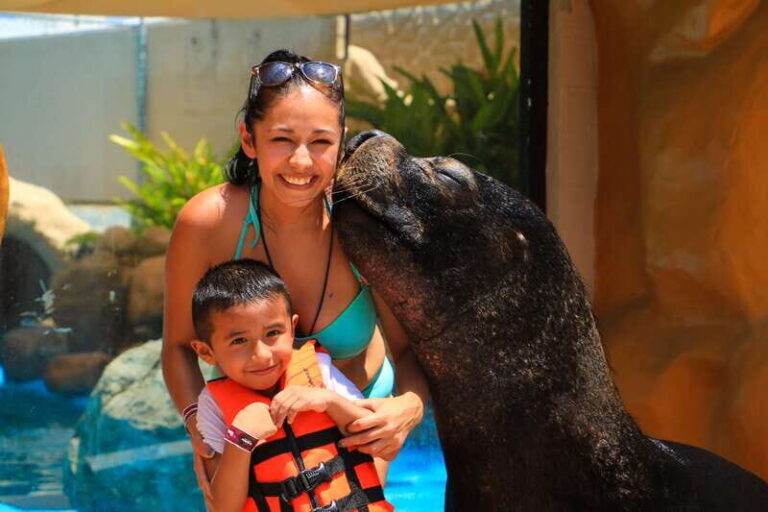 Puerto Vallarta: Sea Lion Discovery - Why It Works