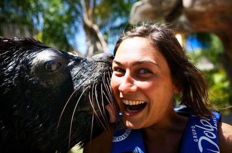 Puerto Vallarta: Sea Lion Discovery at Aquaventuras Park - What to Expect from the Sea Lion Encounter