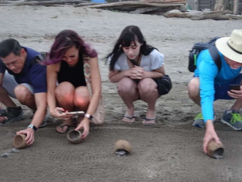 Puerto Vallarta: Sea turtle release at Sunset - An In-Depth Look at the Experience