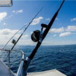 Puerto Vallarta: Shared Fishing - Who Will Love This Tour?