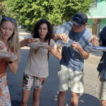 Puerto Vallarta: Taco Tour and Tequila Experience - Who Will Love This Tour?