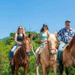 Puerto Vallarta: Wild Tour Horseback Adventure - Why This Tour Is Worth Considering