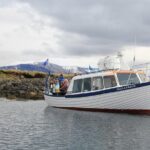 Puffin Cruise with Expert Tour Guide from Reykjavik - An In-Depth Look at the Puffin Cruise Experience