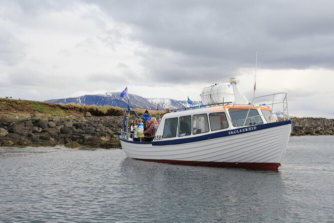 Puffin Cruise with Expert Tour Guide from Reykjavik - An In-Depth Look at the Puffin Cruise Experience