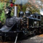 Puffing Billy And Healesville Sanctuary Scenic Tour - Comfort and Extras