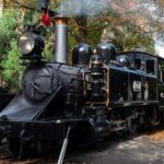 Puffing Billy And Phillip Island Penguin Parade Bus Tour - Exploring the Tour in Detail: What to Expect