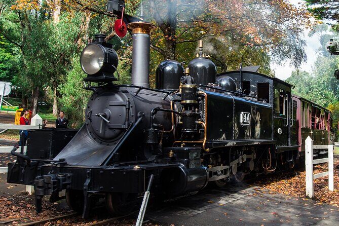 Puffing Billy And Phillip Island Penguin Parade Bus Tour - Exploring the Tour in Detail: What to Expect