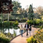 Puffing Billy and The Dandenong Ranges Private Experience - An In-Depth Review of the Tour Experience