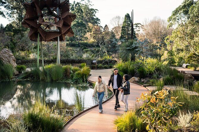 Puffing Billy and The Dandenong Ranges Private Experience - An In-Depth Review of the Tour Experience
