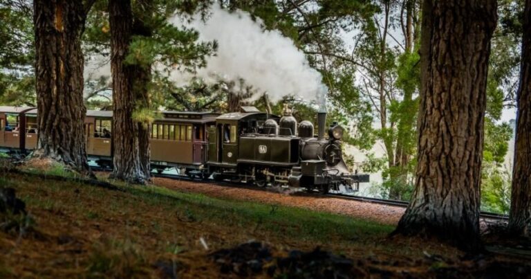 Puffing Billy Railway: Heritage Steam Train Journey - Authentic Comments from Travelers