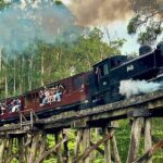 Puffing Billy Tour and Penguin Parade from Melbourne - FAQs