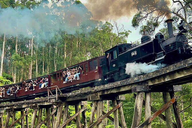 Puffing Billy Tour and Penguin Parade from Melbourne - FAQs