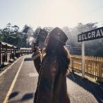 Puffing Billy Train and Penguins Wildlife Tour - Additional Details and Practical Considerations