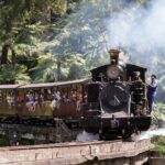 Puffing Billy Train and Phillip Island Penguin Parade Day Tour - Transportation and Group Size