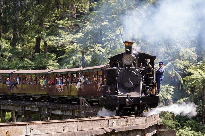 Puffing Billy Train and Phillip Island Penguin Parade Day Tour - Transportation and Group Size