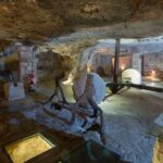 Puglia Olive Oil Tasting Experience with Olive Grove Walk - Walking Through Puglia’s Olive Heritage