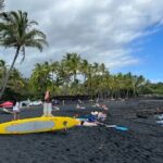 Punaluu Black Sand Beach Tour - Volcanoes National Park & Hilo - Who Should Book This Tour?
