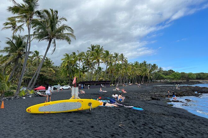 Punaluu Black Sand Beach Tour - Volcanoes National Park & Hilo - Who Should Book This Tour?