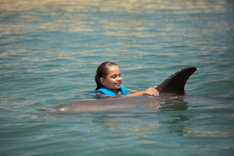 Punta Cancun: Swim with dolphins Harmony - Final Thoughts: Is It Worth It?