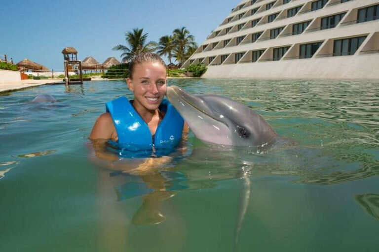 Punta Cancun: Swim with dolphins Interax - Who Should Consider This Tour?