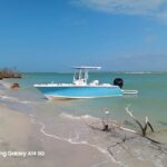 Punta Gorda /Boca Grande: Barrier Island Shelling Tour - Why Choose This Tour?
