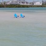 Punta Gorda/Boca Grande: Sandbar Cruise with Captain - Who Should Book This Tour?