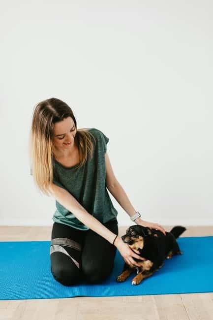 Puppy Yoga in Riga - Value & Practicality