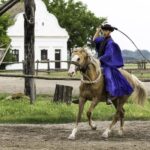 Puszta Tour and Horse Show - Practical Details and Value