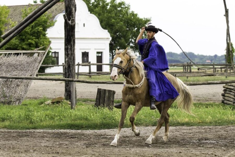 Puszta Tour and Horse Show - Practical Details and Value