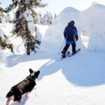 Pyhä: Skiing Tour in Arctic Forest - The Value and Practical Details