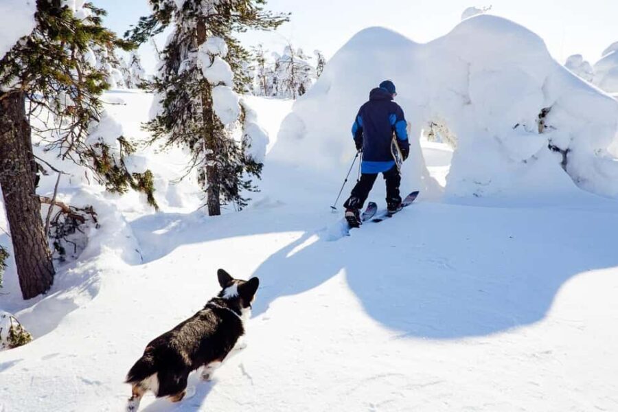 Pyhä: Skiing Tour in Arctic Forest - The Value and Practical Details