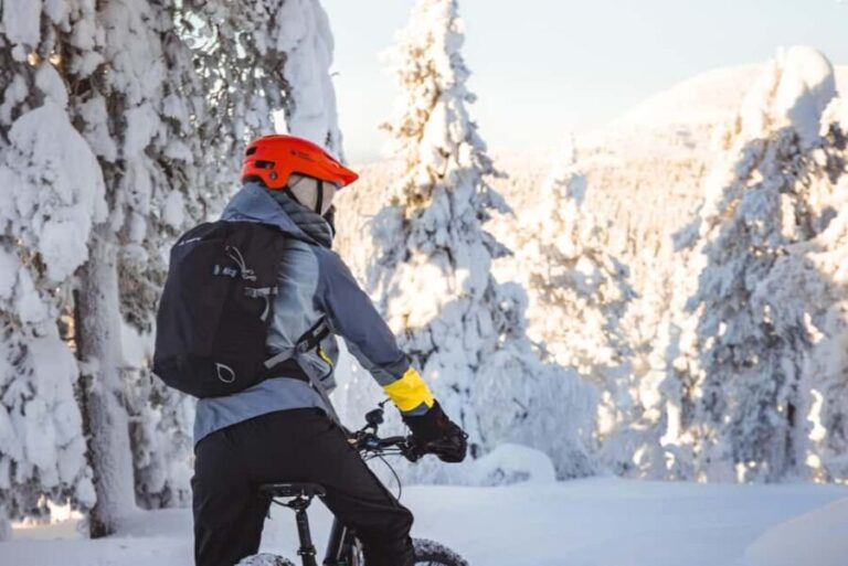 Pyhätunturi: Electric Fatbike Tour in Finnish Lapland - Introduction: What Makes This Fatbike Tour Stand Out?
