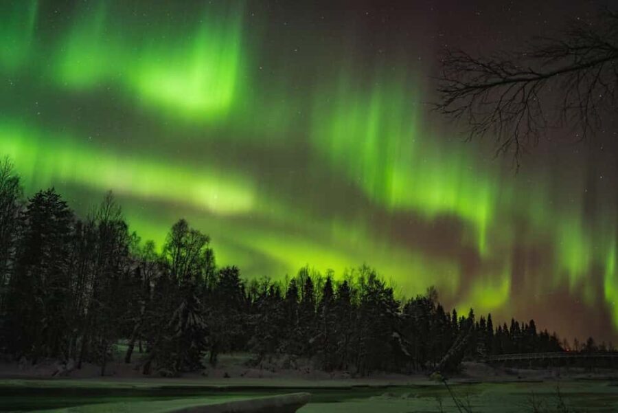 Pyhätunturi: Northern Lights Hunting Tour with Hot Drinks - Discovering the Magic of Lapland’s Night Sky