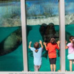 Quebec: Aquarium du Quebec Entry Ticket - Who Should Visit?