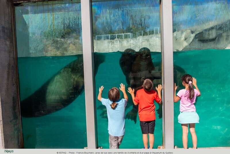 Quebec: Aquarium du Quebec Entry Ticket - Who Should Visit?