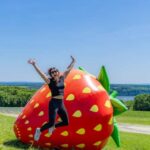 Quebec City: Ile d'Orléans Guided E-Bike Tour with Tastings - Final Thoughts