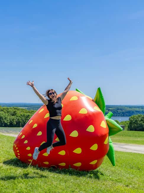 Quebec City: Ile d'Orléans Guided E-Bike Tour with Tastings - Final Thoughts
