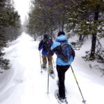 Quebec City: Jacques-Cartier National Park Snowshoeing Tour - A Well-Curated Itinerary