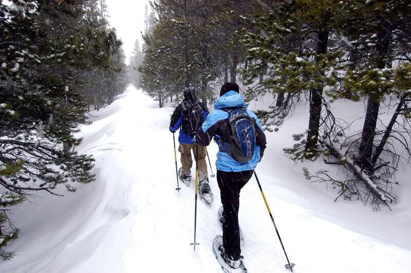 Quebec City: Jacques-Cartier National Park Snowshoeing Tour