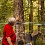 Quebec City (Lévis): self-guided sugar shack tour + meal + maple taffy - Exploring the Authenticity of the Sugar Shack