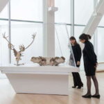 Quebec City: MNBAQ National Fine Arts Museum Entry Ticket - Who Will Love This Experience?