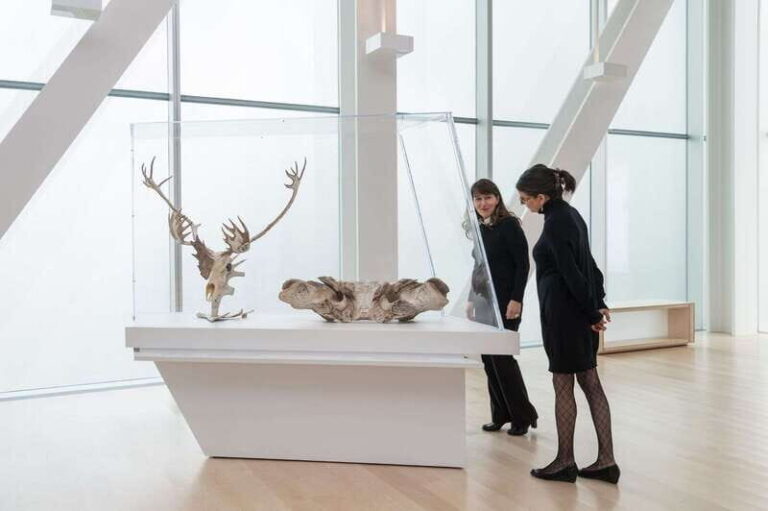 Quebec City: MNBAQ National Fine Arts Museum Entry Ticket - Who Will Love This Experience?