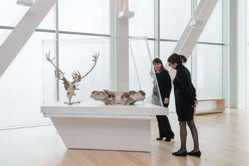 Quebec City: MNBAQ National Fine Arts Museum Entry Ticket - Who Will Love This Experience?