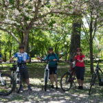 Quebec City : Private Electric Bike Tour - The Itinerary: What You’ll Actually Do